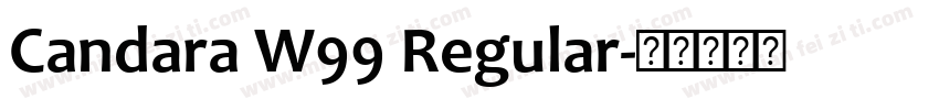Candara W99 Regular字体转换